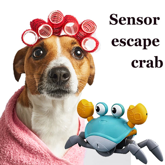 Crab Toy for Children, Dog & Cat with Music & Sounds Lights
