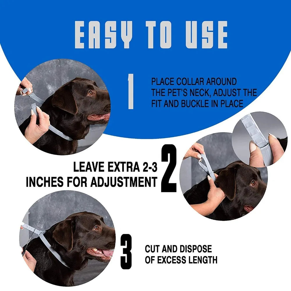 New anti-flea and tick collar for 8 months - say goodbye to parasites with this retractable collar for dogs, cats & puppies.