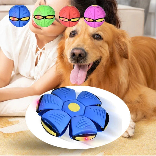 Toy Magic Flying Saucer Ball for Dogs
